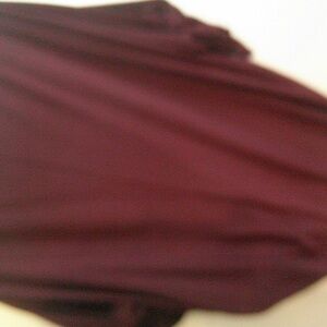 Elegant Burgundy Dress